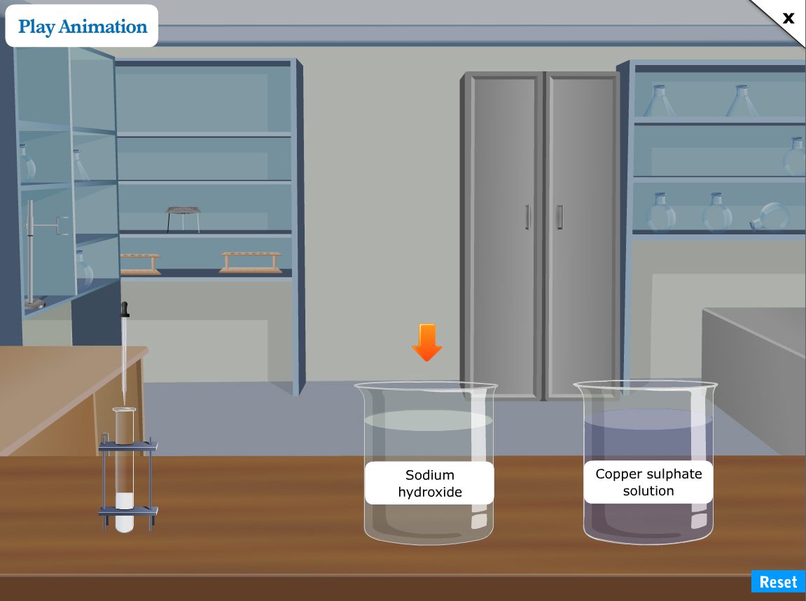 11_simulations_3 Play Animation